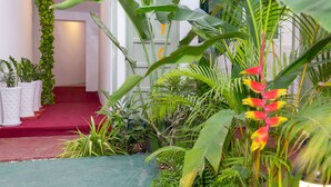 A lush indoor garden with a variety of plants and a red carpet leading to a door. - Sky View Bed & Breakfast (Yangon)
