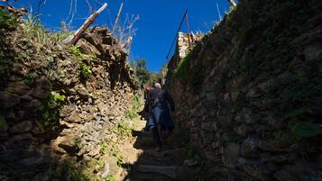 A narrow stone pathway flanked by vegetation and a clear blue sky.