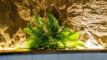 Apartemen Comfort, 1 kamar tidur | Kamar mandi | Shower, pancuran hujan, dan perlengkapan kamar mandi ramah lingkungan