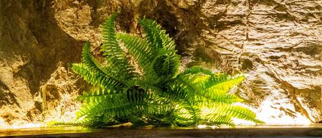 Comfort Apartment, 1 Bedroom | Bathroom