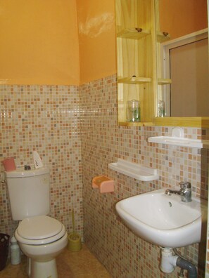 Appartamento | Bagno | Doccia, asciugamani, carta igienica