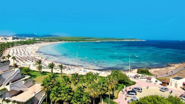 Une scène de plage côtière, avec un ciel bleu dégagé, des palmiers et une plage de sable où se trouvent des personnes et des voitures.