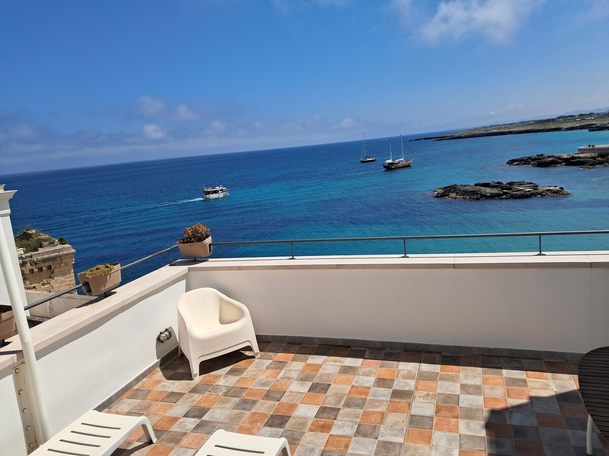 Imagen de perfil del propietario o de la propietaria