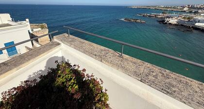 Typical house with terrazzo overhanging seen sea