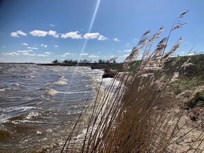 A river with rippling water and tall grasses in the foreground.