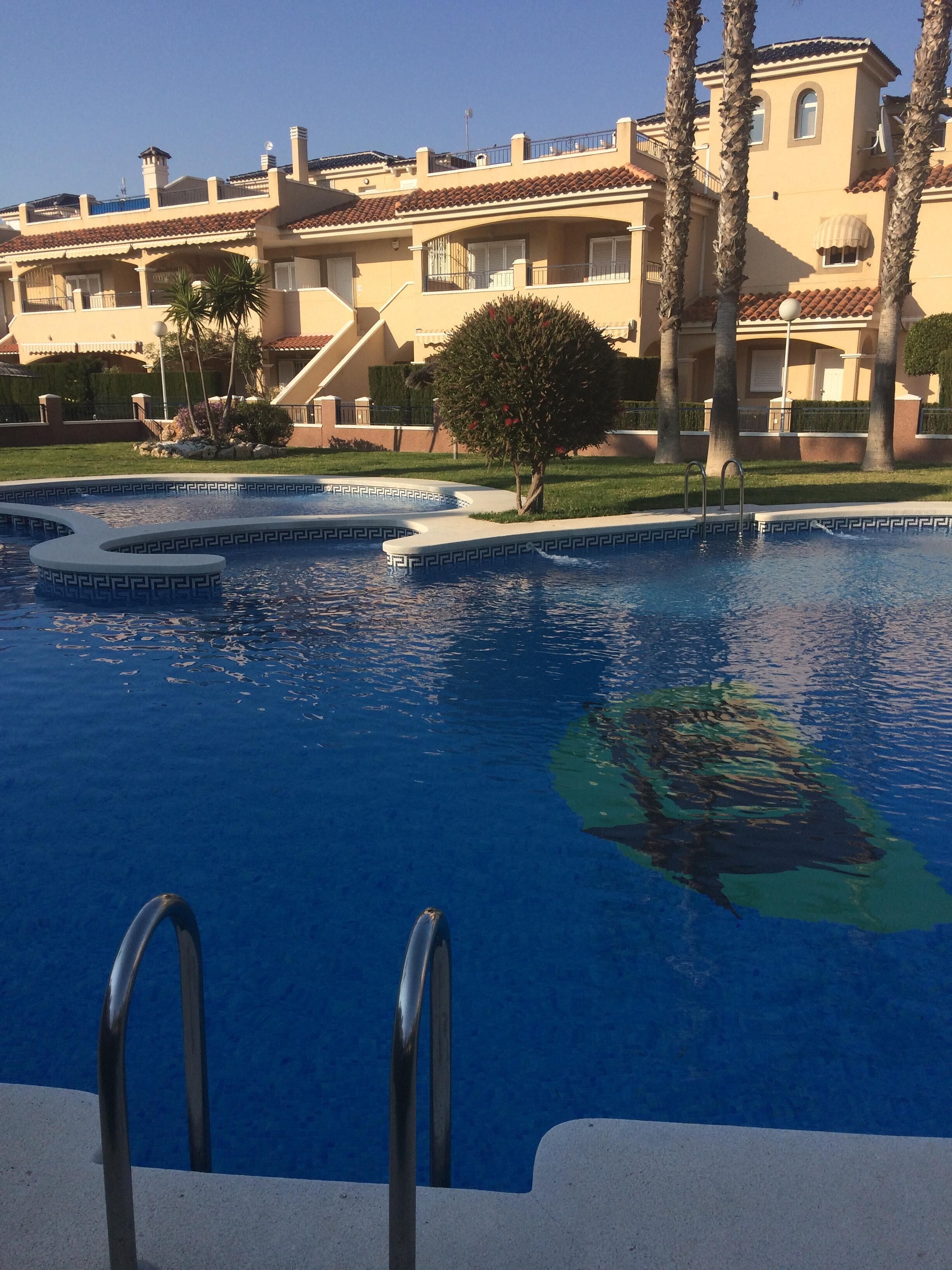 Una piscina con un diseño geométrico de azulejos, rodeada de césped cuidado y palmeras.