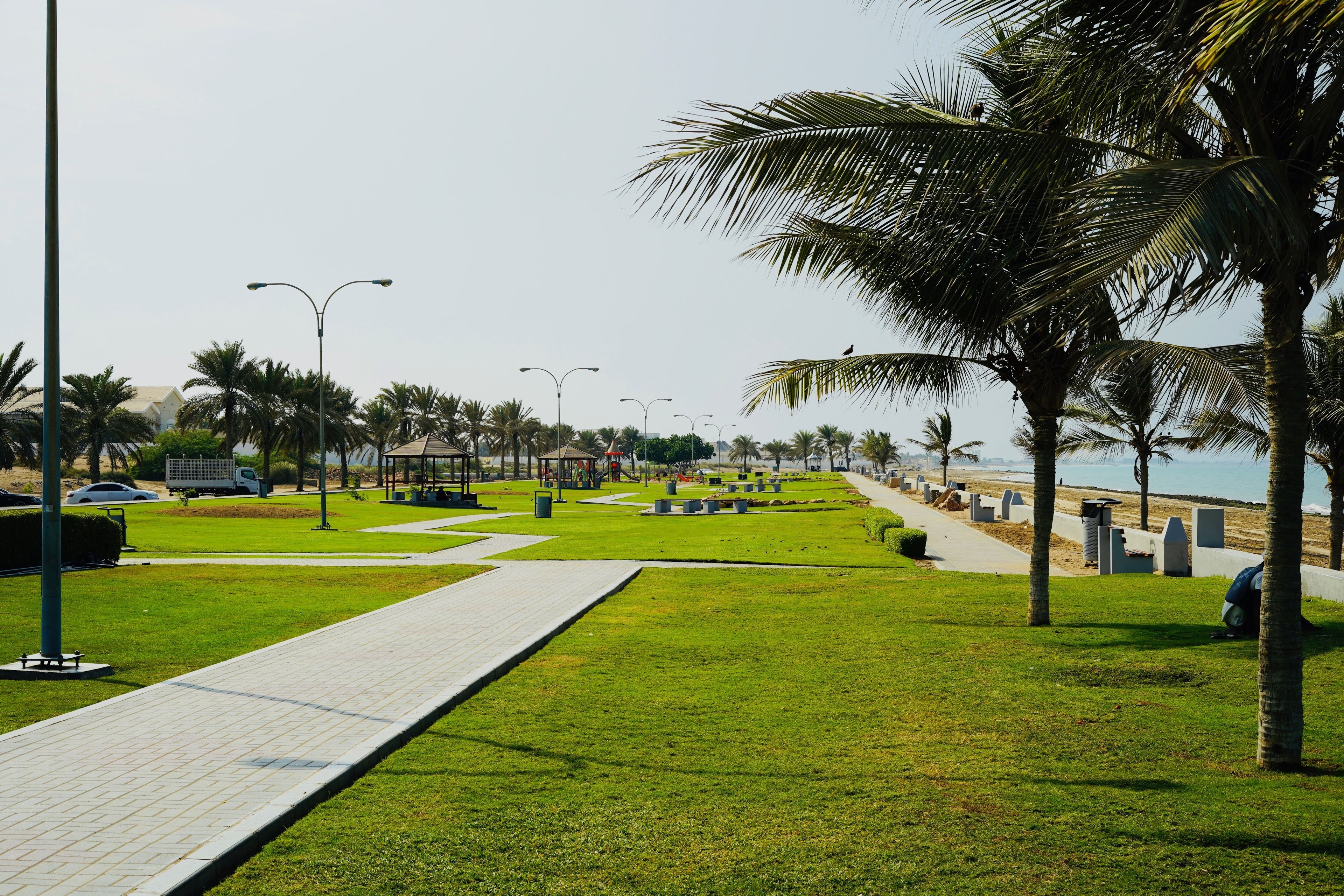 Un camino pavimentado con palmeras y vista a la playa.