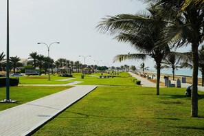 A paved walkway with palm trees and a view of the beach.