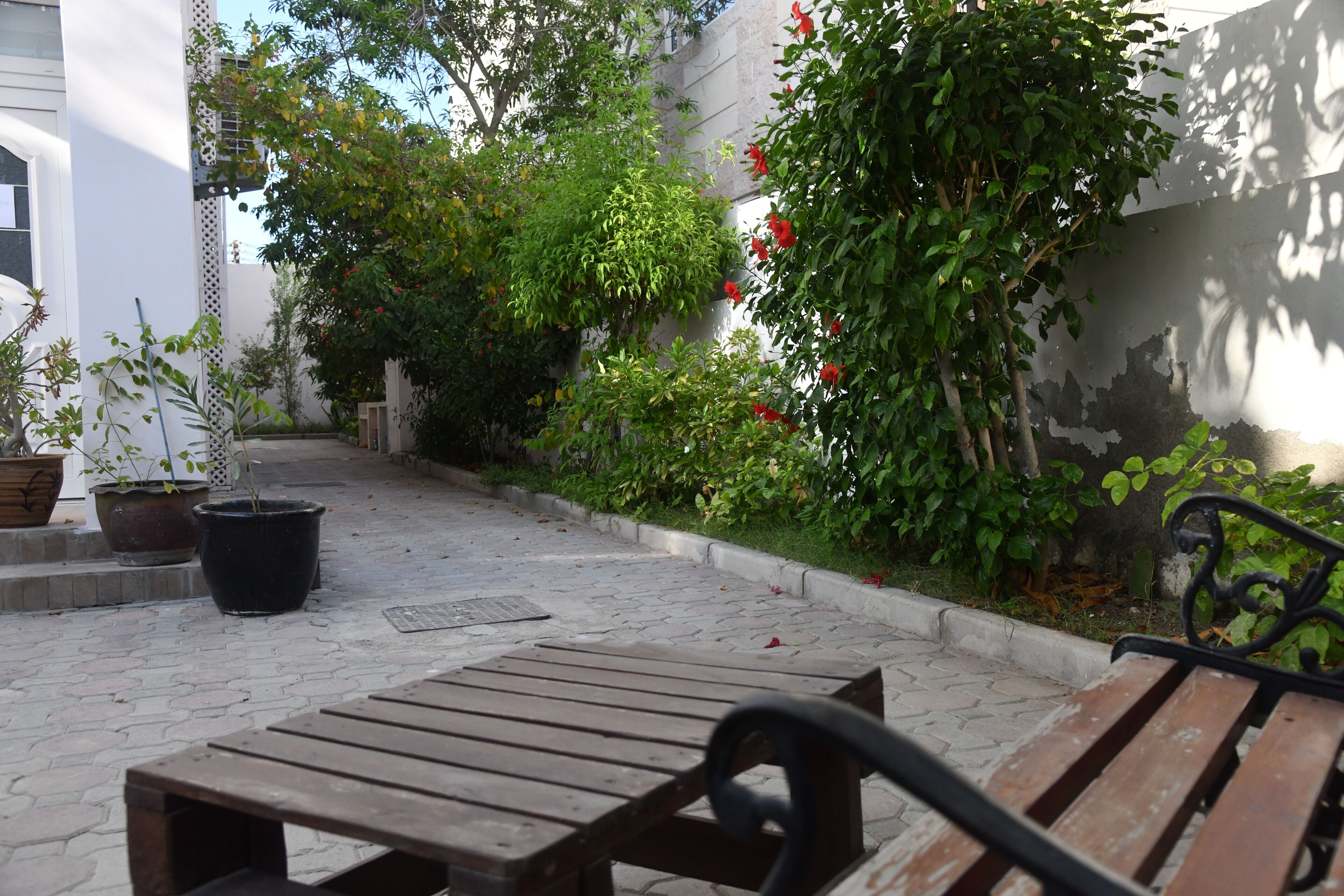 A courtyard with a wooden bench, potted plants, and a wall with peeling paint.