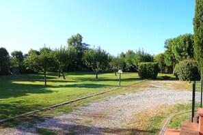 Une zone herbeuse avec des arbres et un sentier de gravier.