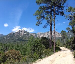 Imagen sin descripción, 3 de 6, botón