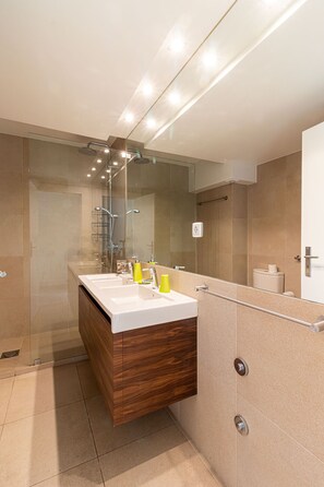 Shower, hair dryer, towels