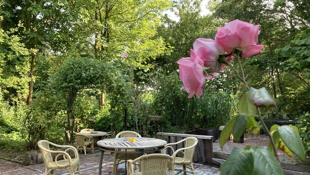 Une terrasse dotée de meubles en osier et d’un sol en briques, entourée d’une végétation luxuriante et d’arbres.