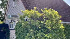 Une maison avec un toit en pente, une boîte aux lettres et une haie bien entretenue.