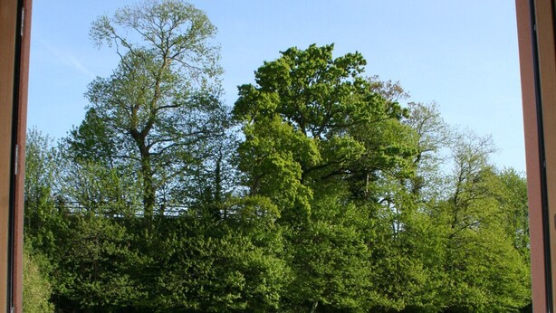 On aperçoit, à travers une porte vitrée, un bâtiment avec une zone pavée devant et un champ herbeux avec des arbres en arrière-plan.