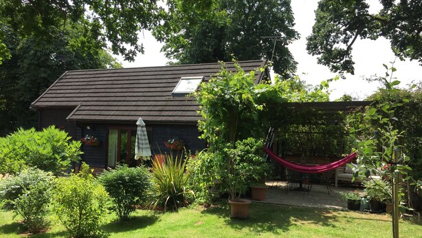 A house with a dark roof, a small patio with a hammock, and various potted plants.