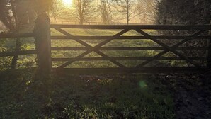 A wooden gate in a natural setting with sunlight filtering through trees.