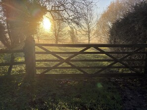 Property grounds - Stylish Rural Retreat in Tangley in a Quiet Area of Outstanding Natural Beauty (Andover)