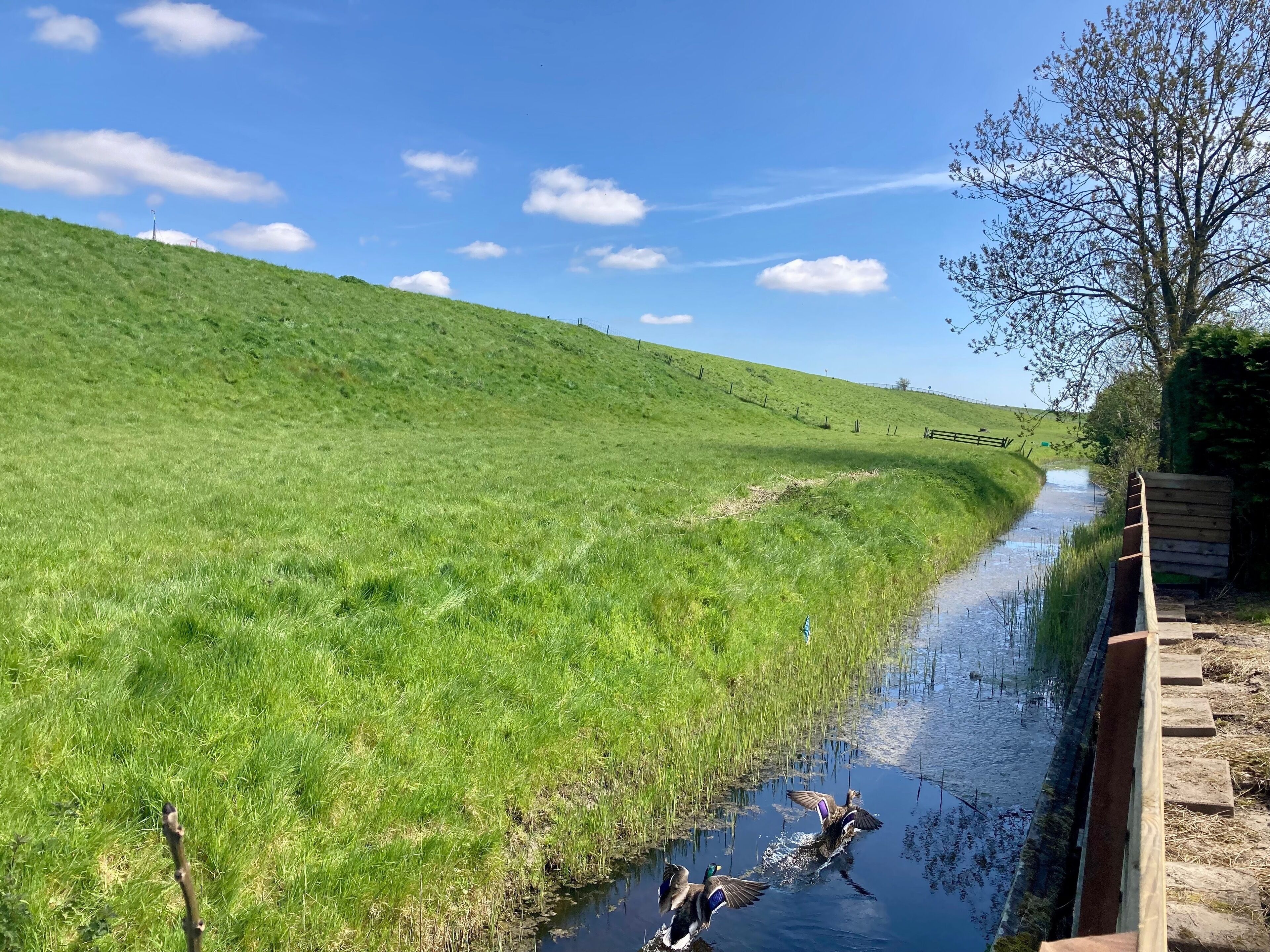 Une colline herbeuse avec un petit canal d’eau et une clôture en bois.