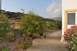 Property grounds - Dream Villas (Karpathos)