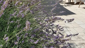 An outdoor seating area with tables and chairs, surrounded by lavender plants and a stone structure. - Hotel Euromar (Massa)
