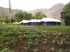 View from property - Dowa Deluxe Camp (Leh)