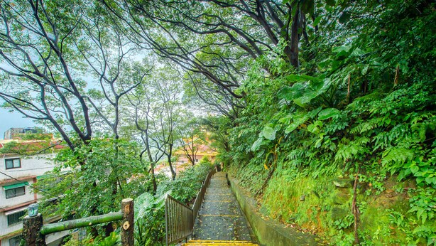 A stone staircase surrounded by lush greenery, leading up a hillside. - CF Kite Homestay (New Taipei City)