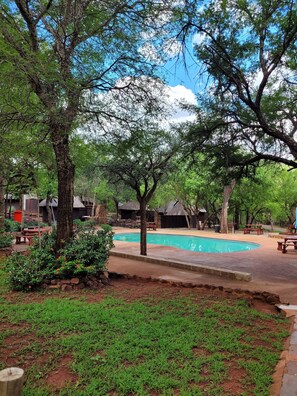 Outdoor pool, pool loungers - Thabankwe Bushveld Inn (Thabazimbi)