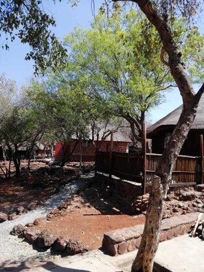 Basic Chalet | View from room - Thabankwe Bushveld Inn (Thabazimbi)