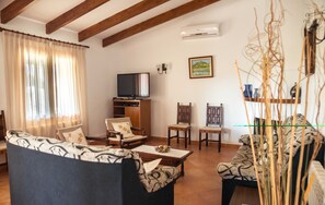 TV, fireplace, DVD player