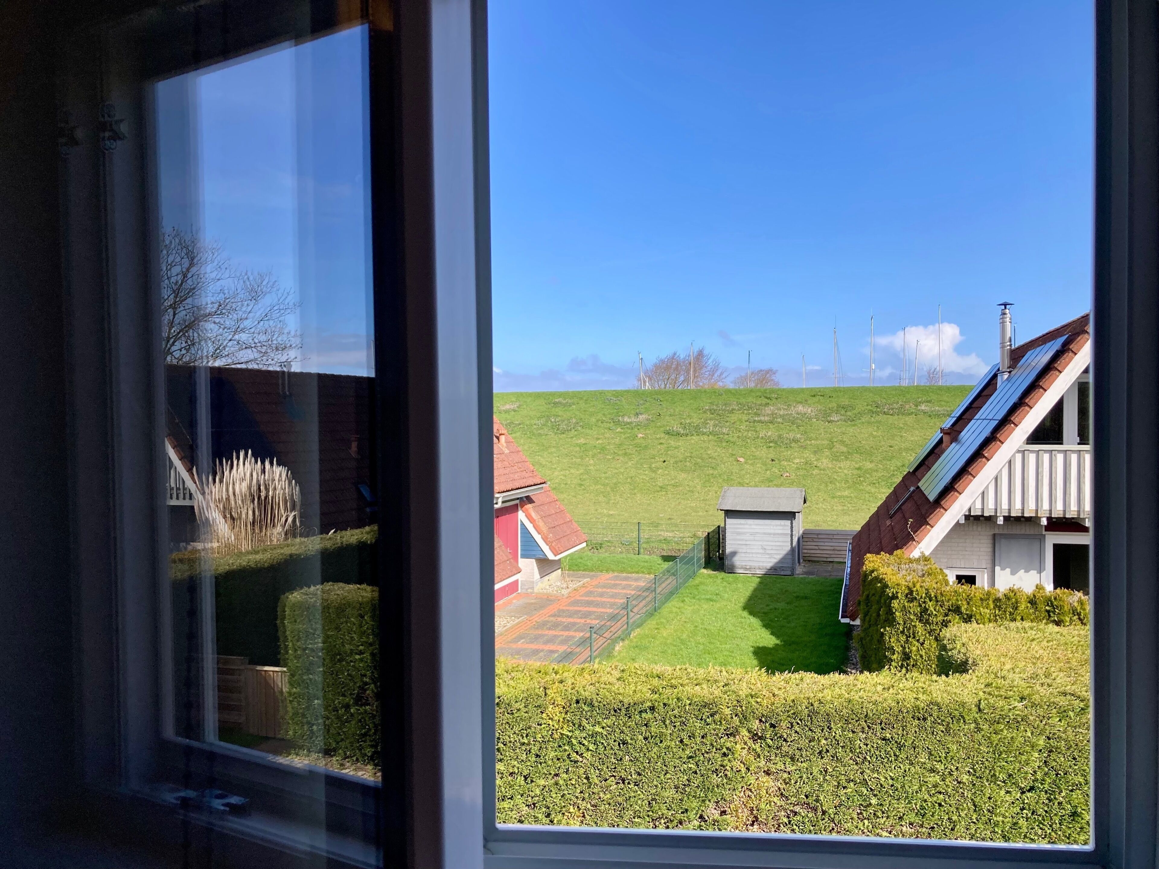 Vista desde una ventana de una casa con techo solar, un cobertizo pequeño y un césped bien cuidado.