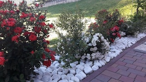 A garden with red and white flowers, a gravel path, and a brick walkway. - Agritur Sole Levante (Male)
