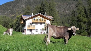 A two-story building with a balcony, surrounded by a grassy field and a forested mountain. - Agritur Sole Levante (Male)