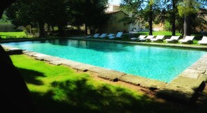 Une piscine rectangulaire bordée de pierres, entourée d’une pelouse et d’arbres.