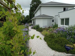 A house with a gravel pathway leading to the entrance, surrounded by a variety of flowering plants and a vine with green grapes. - Le Clos Louisiane (Saint-Loup-Hors)