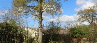 Le Clos Louisiane