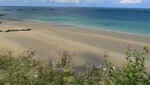A beach with clear water, sandy shore, and some vegetation in the foreground.