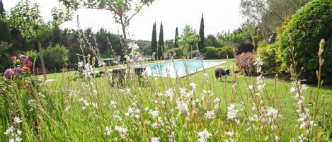 Una piscina rodeada de exuberante vegetación y plantas florecientes.