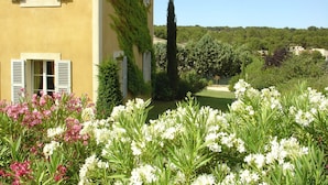 A yellow building with white shutters, surrounded by lush greenery and flowering plants.
