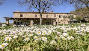 Exterior - B&B Le Bumbarelle (Tavoleto)