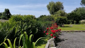 A garden with a gravel path, green foliage, and red flowers. - Cléome (Arques-la-Bataille)