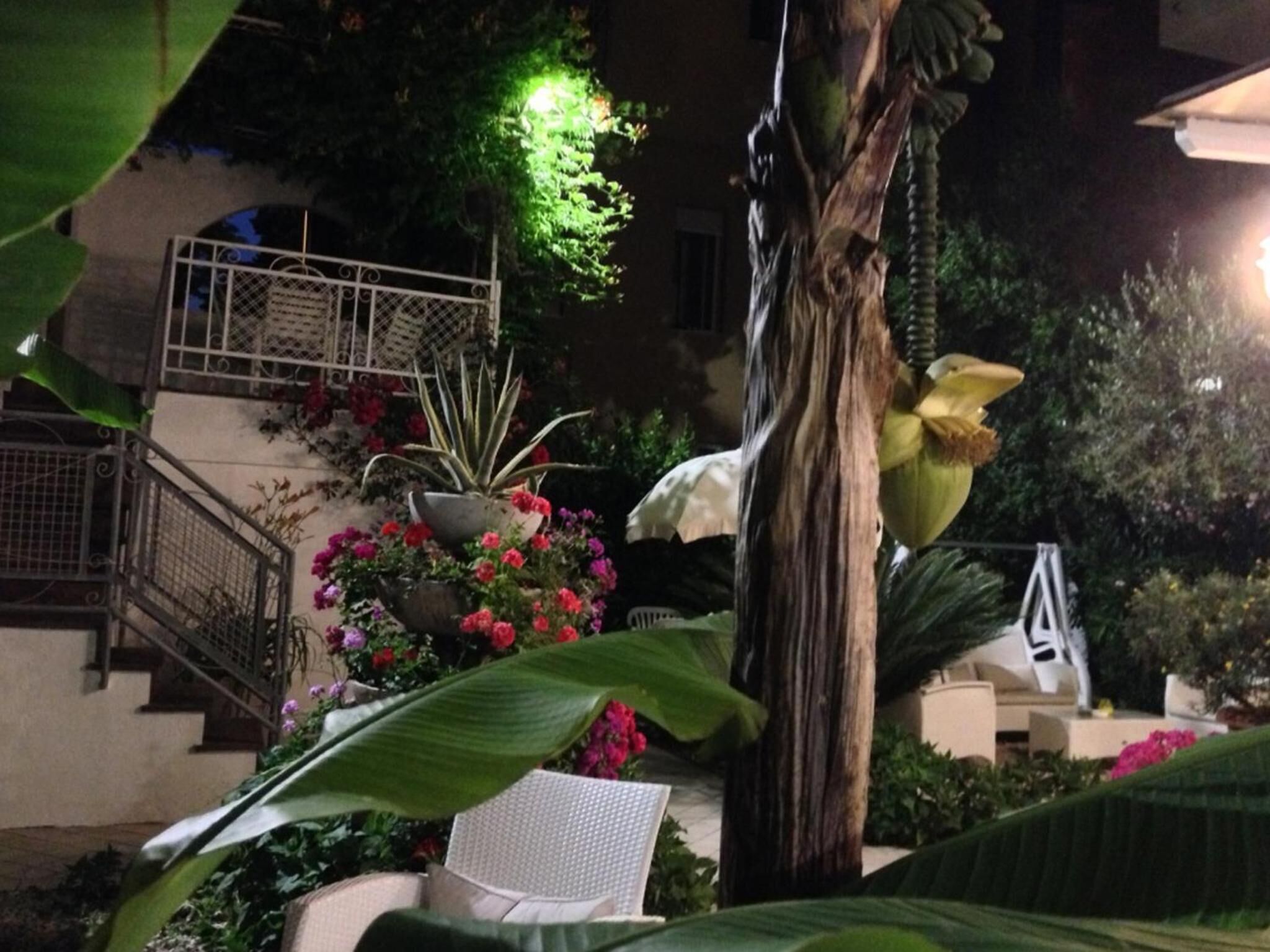 Área da propriedade