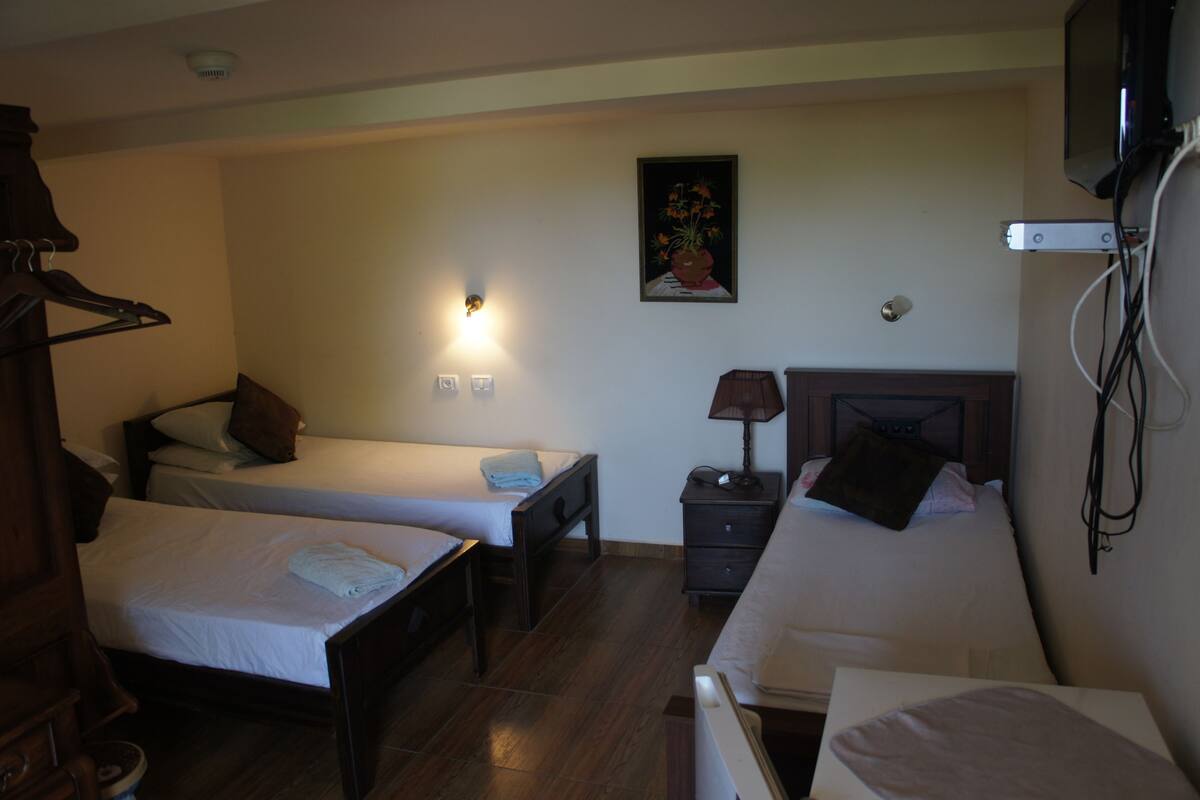 Triple Room | In-room safe, desk, iron/ironing board (on request), free WiFi