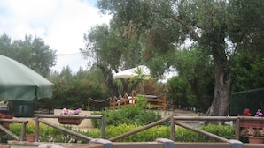 Una piscina amb un pont de fusta, envoltada de vegetació i arbres.