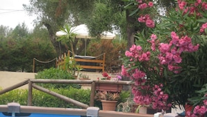 Una piscina amb un pont de fusta i plantes en testos.