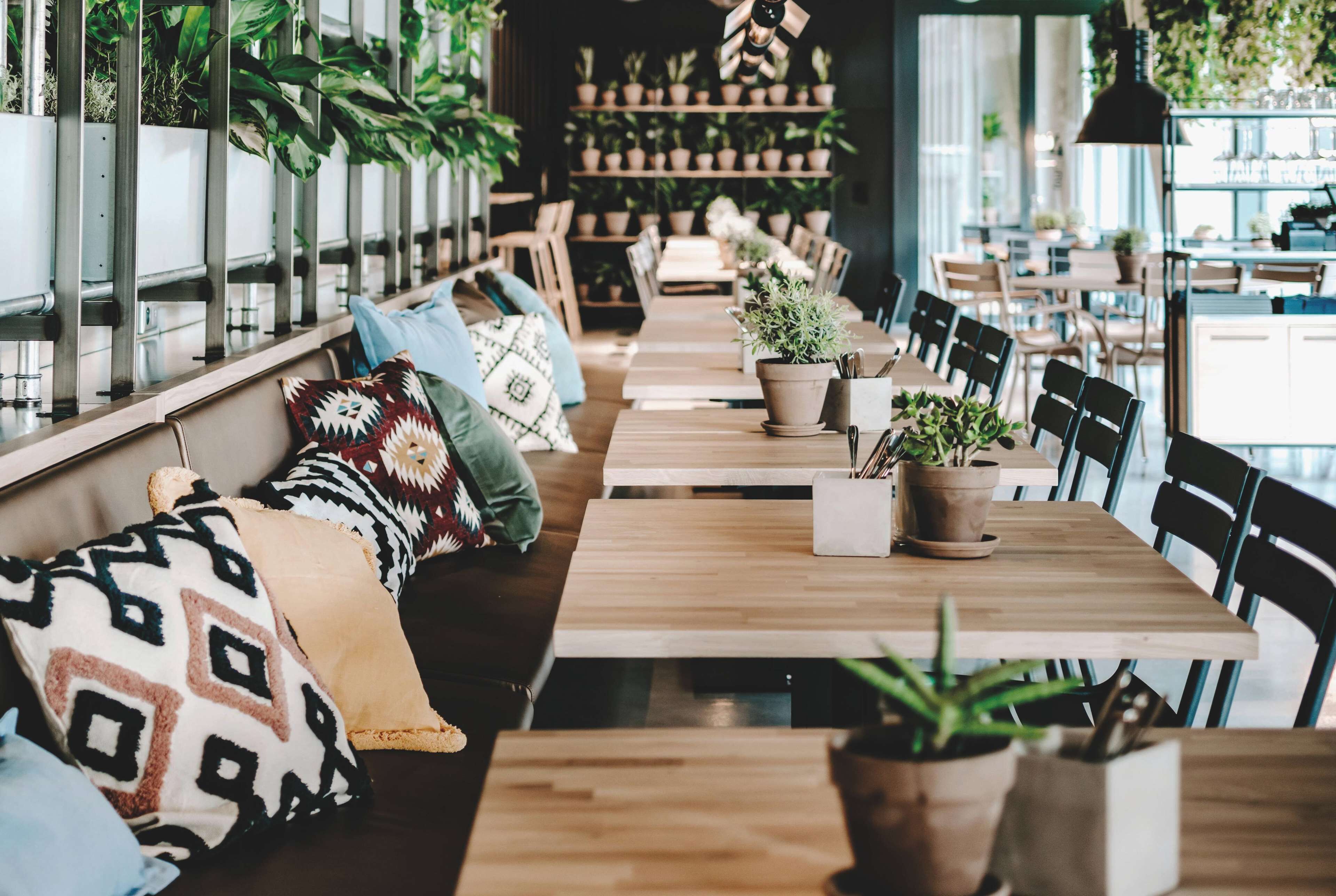 A restaurant with wooden tables and benches, potted plants, and a long counter.