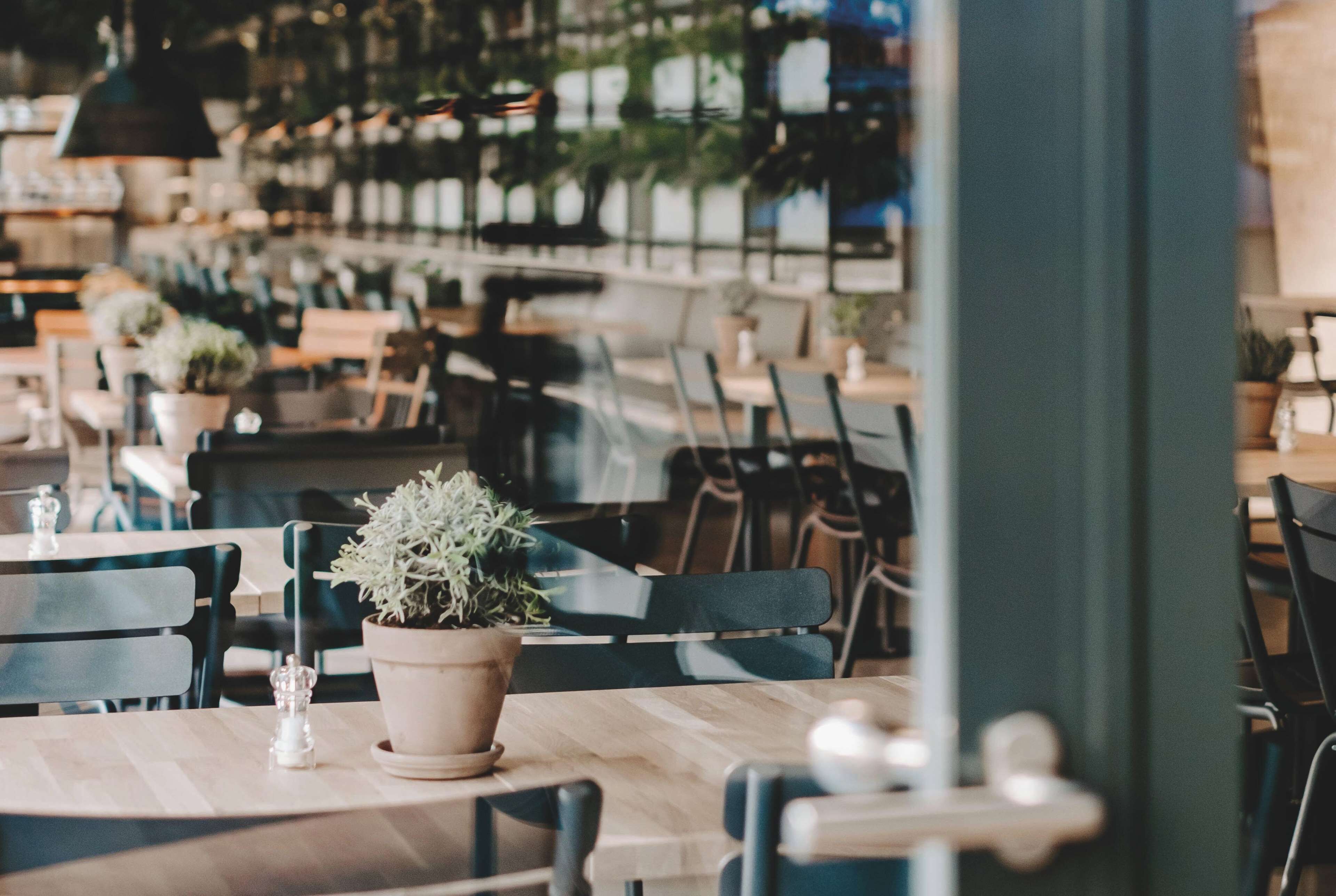 Ein Restaurantinneres mit Holztischen, Stühlen, Blumentöpfen und hängenden Pendelleuchten.