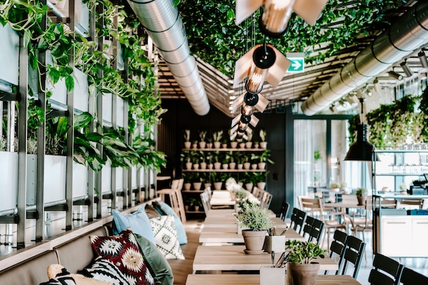 Se sirven desayunos, almuerzos y cenas; cocina internacional