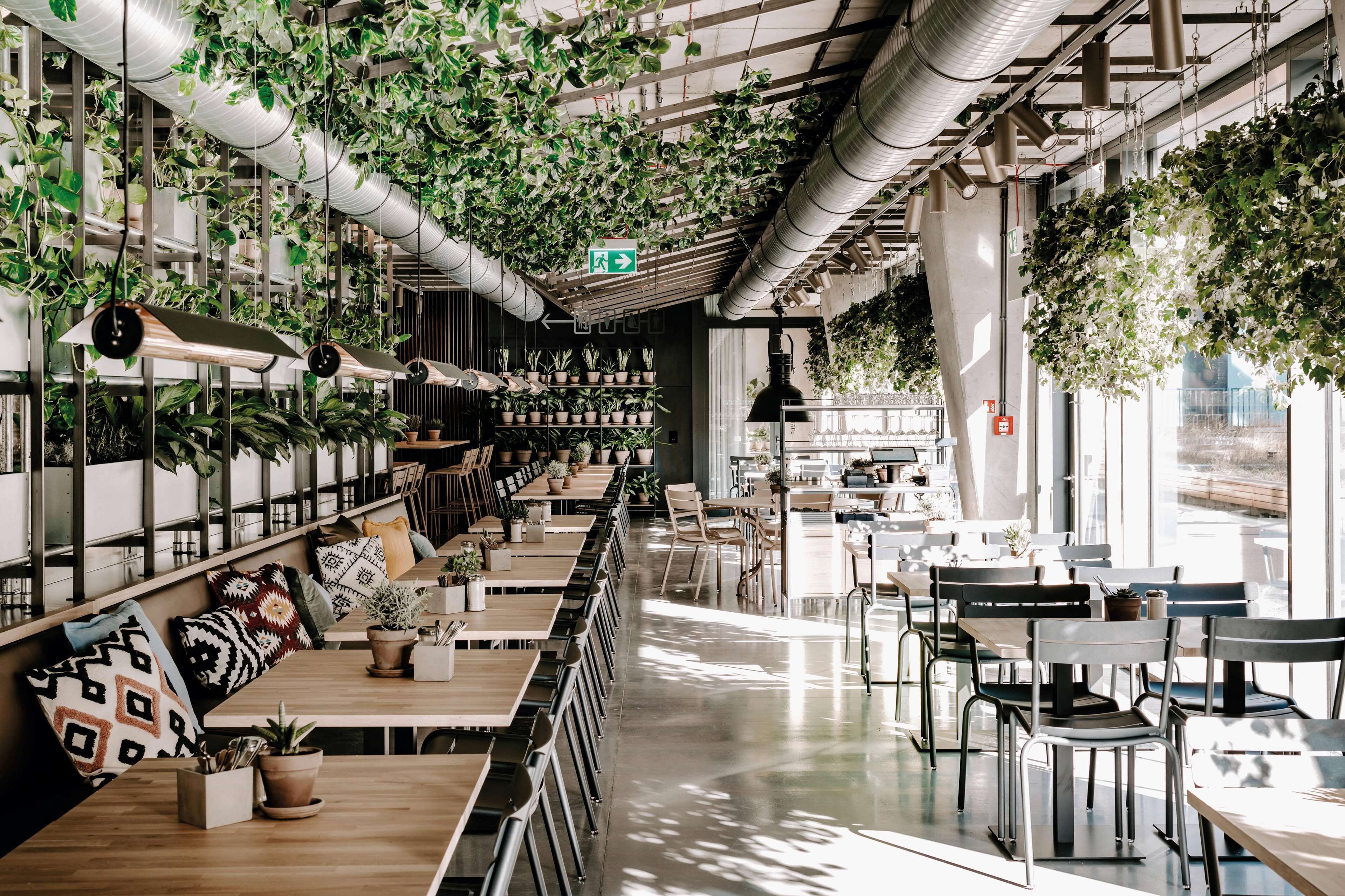 A modern cafe with wooden tables and chairs, potted plants, and a ceiling garden.