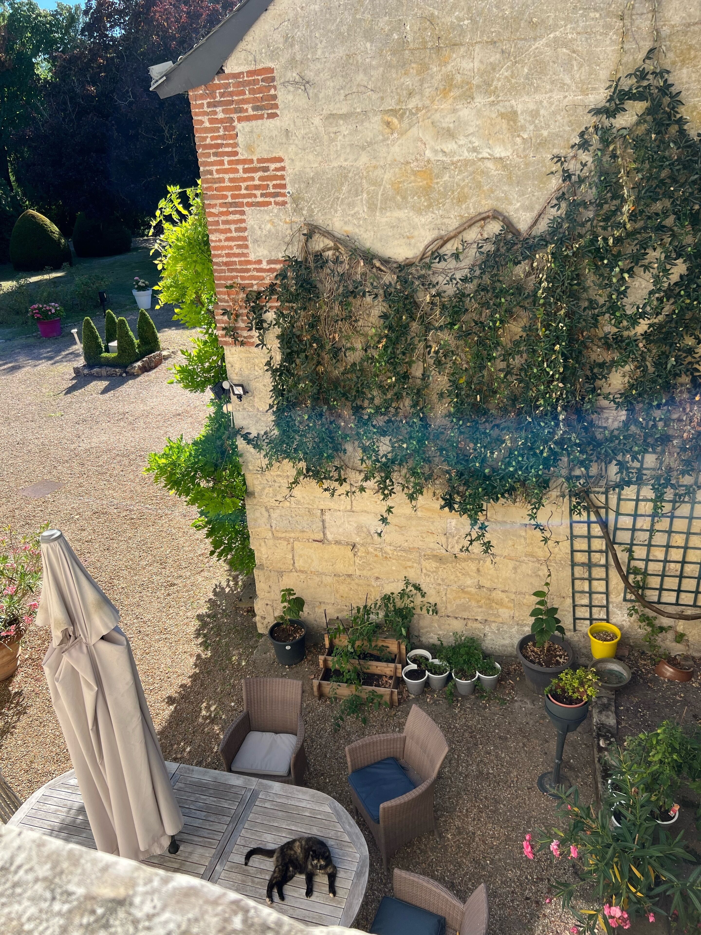 Un espace patio agrémenté d’un mur en briques, de plantes en pot et de mobilier d’extérieur.